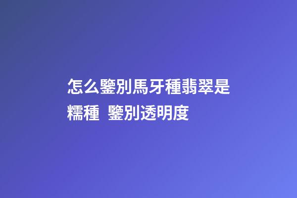 怎么鑒別馬牙種翡翠是糯種  鑒別透明度